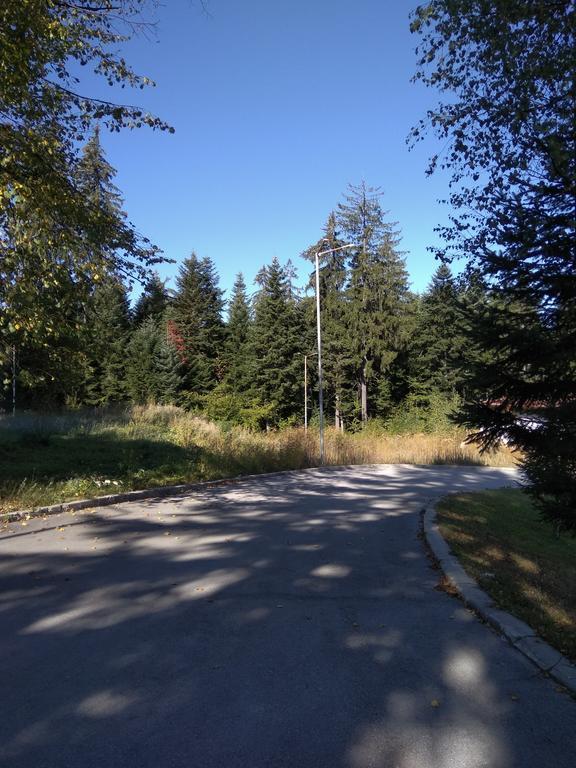 Apartment In Borovets Gardens C17 Zewnętrze zdjęcie